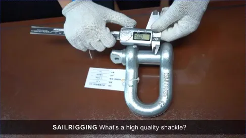 Wholesale Hardware Rigging Electric Galvanized U Shaped Shackle Us Type Steel Drop Forged Screw Pin D Anchor Shackle