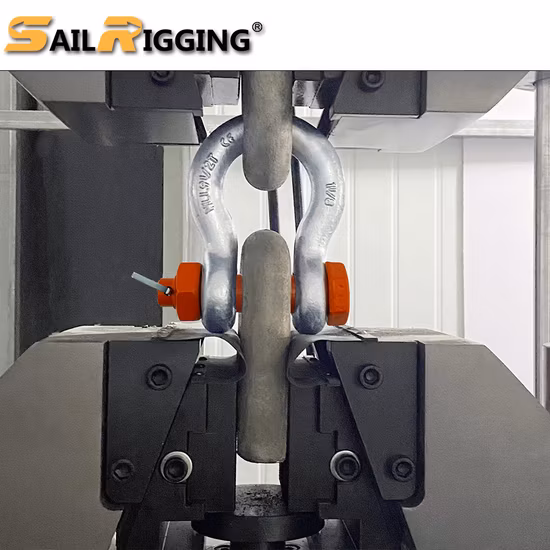 Grillo a forma di U zincato elettrico per sartiame hardware all'ingrosso Grillo di ancoraggio con perno a vite D in acciaio forgiato a goccia di tipo Us